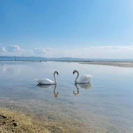 " Sunshine Am See " FDH Exterior foto