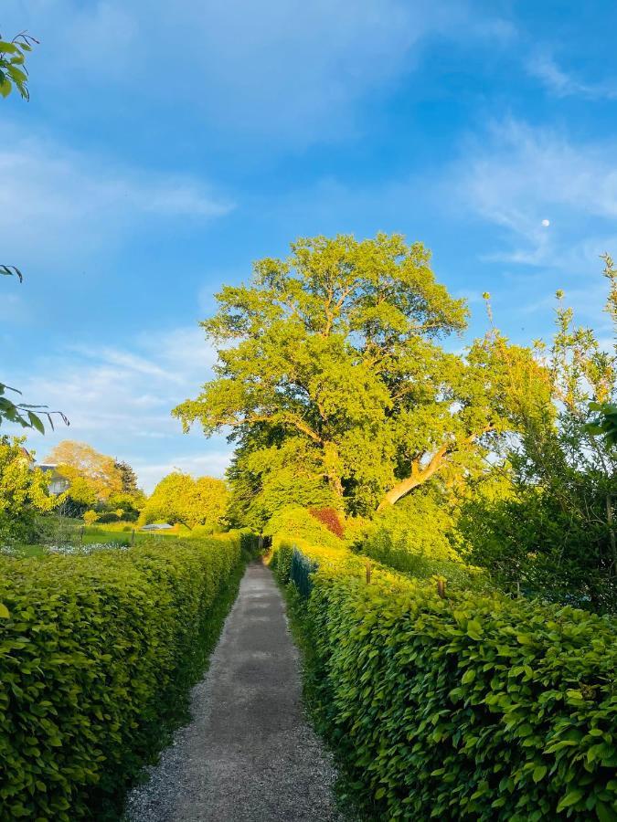 " Sunshine Am See " FDH Exterior foto